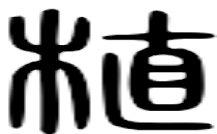 植的篆字