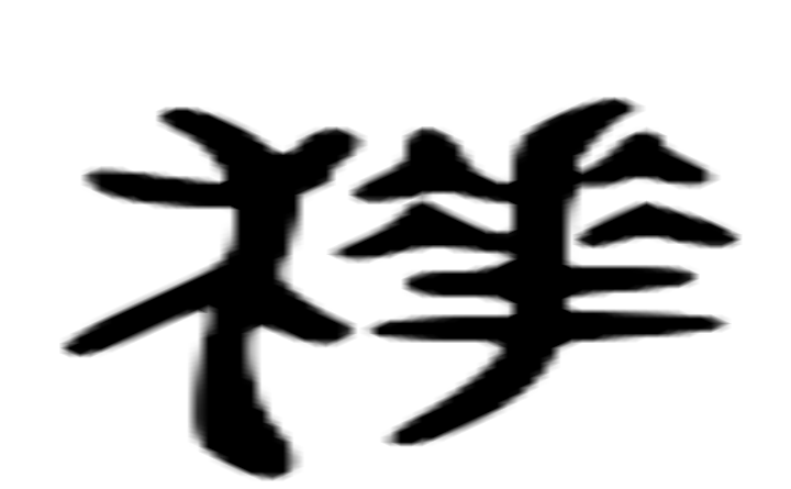 樗的六书通字