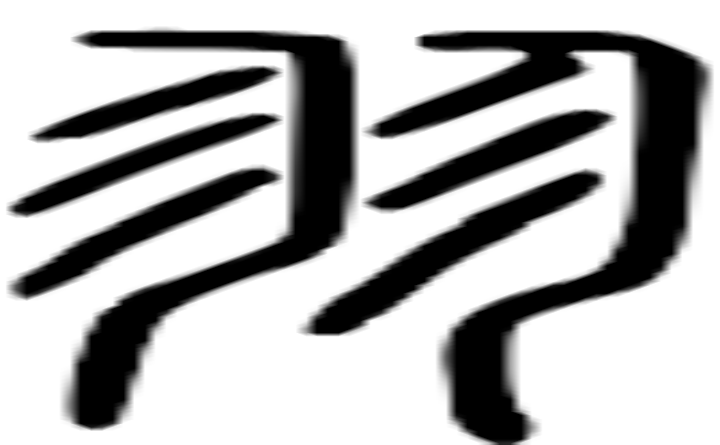 羽的篆字