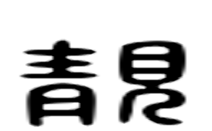 靓的六书通字