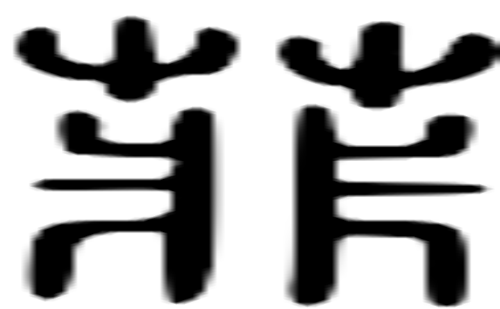 菲的篆字