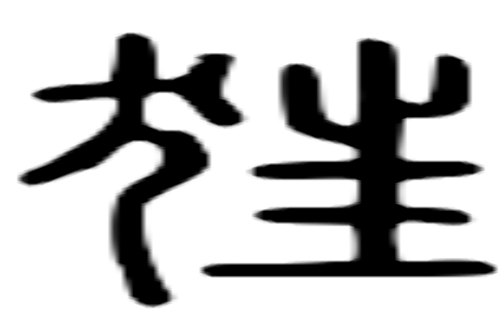 狂的篆字