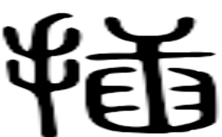 插的篆字