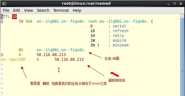 LinuxDNS