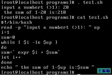 LinuxдshellűֻwhileӦʵ