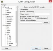 PuTTY+XmingʵX11sshת