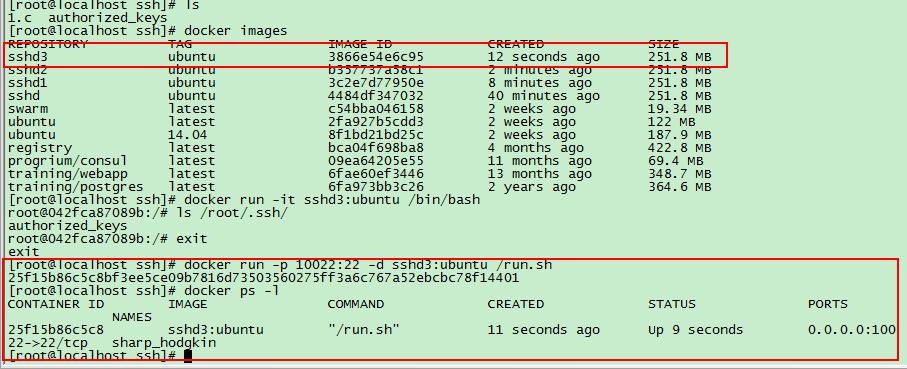 sshĿ¼docker