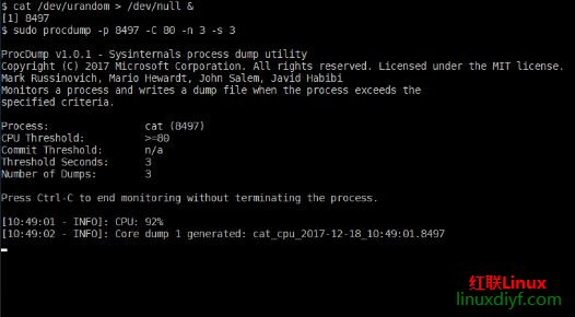 LinuxϵͳаװʹProcDump for Linux